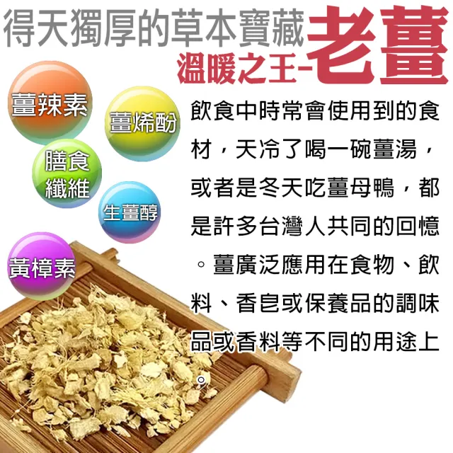 【蔘大王】花椒老薑紅棗暖活茶包X6組（6gX10入/組）(長效期版 保暖由內而外 四季調理 拒絕冰棒人生)