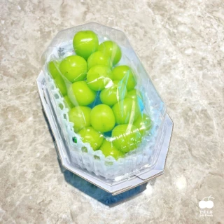 【舒果SoFresh】韓國麝香葡萄(3盒/450g*3/約1.3kg/箱)