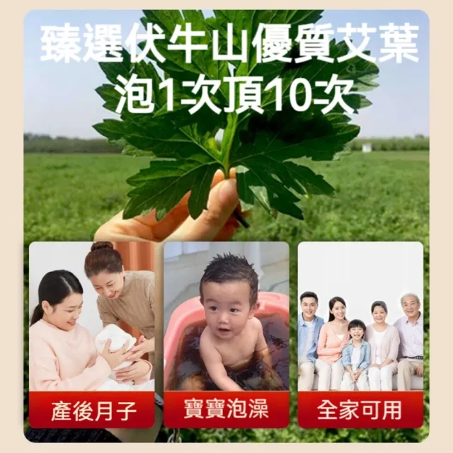 【YAOCHEN 瑤辰】7月下殺 純艾葉泡澡包足浴包20g*30入(艾草包 泡腳包 泡澡包 中藥泡腳包 草本足浴包)