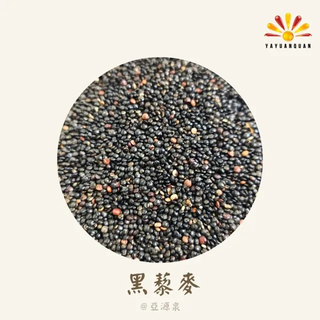 【亞源泉】藜麥量批發 紅/白/黑 三種任選  5公斤(三種藜麥任選)