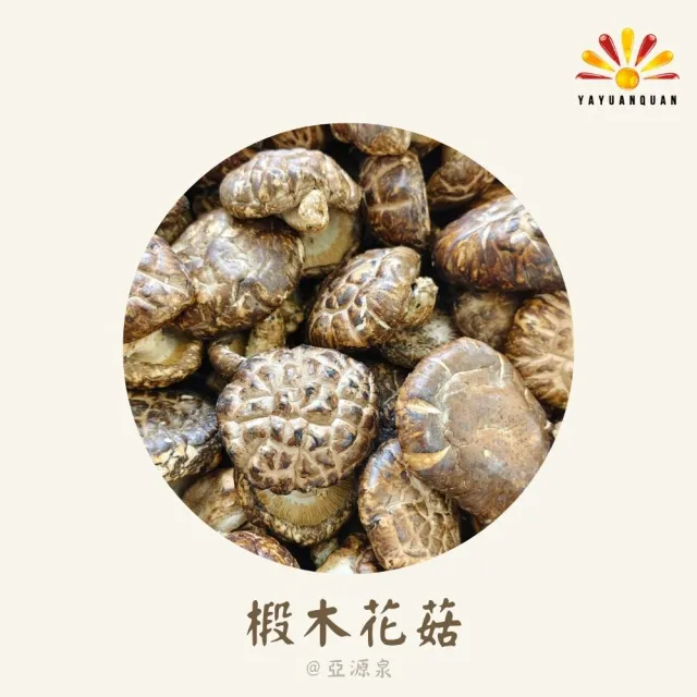 亞柏林 椴木花菇 量批發 1公斤