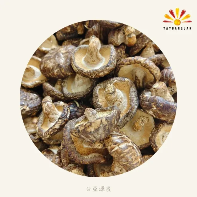 亞柏林 椴木花菇 量批發 3公斤