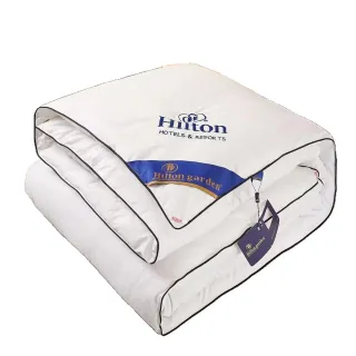 【Hilton 希爾頓】蠶絲被 150*200CM(被子  春秋夏涼被  舒適親膚)