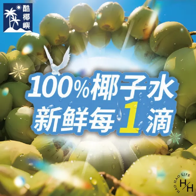 【KOH COCONUT 酷椰嶼】2箱組-純椰子水(250毫升x24入/箱)