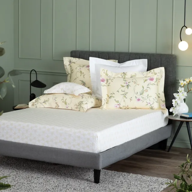 【WEDGWOOD】經典印花 床包枕套三件組(雙人｜天絲/長纖棉 任選)