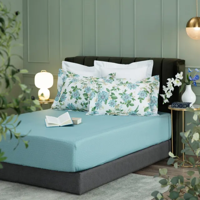 【WEDGWOOD】經典印花 床包枕套三件組(特大｜天絲/長纖棉 任選)