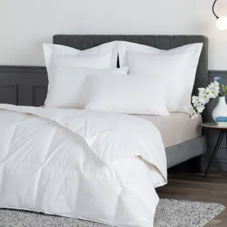 【WEDGWOOD】90%法國白鴨絨 抗菌羽絨薄被(雙人180x210cm｜填充400g)