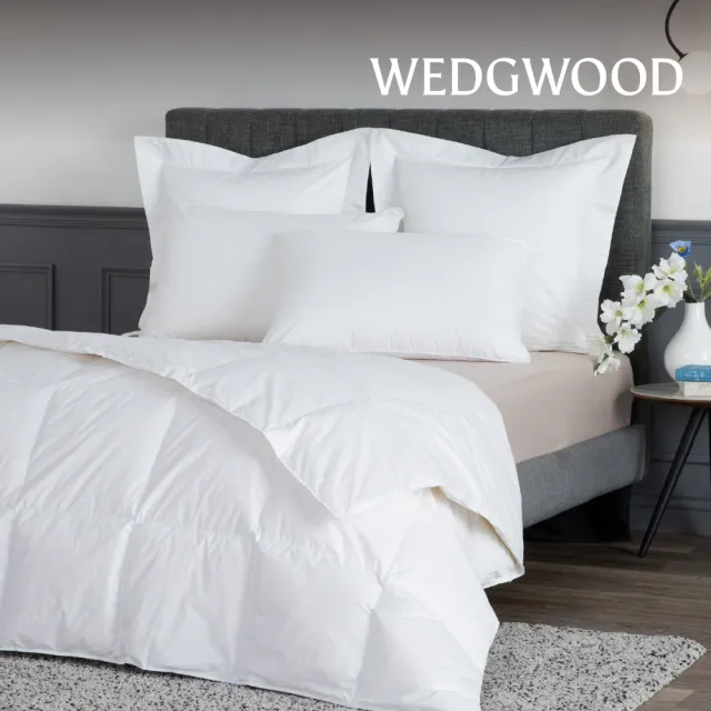 【WEDGWOOD】90%法國白鴨絨 抗菌羽絨薄被(雙人180x210cm|填充400g)