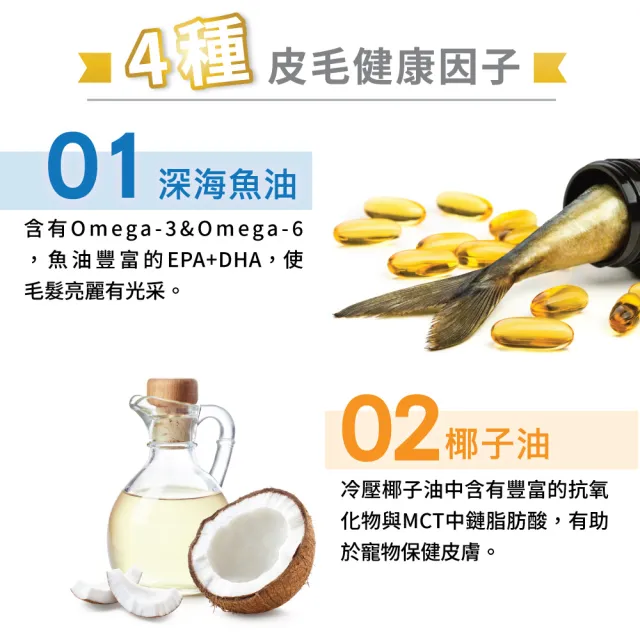 【Balance 博朗氏】美毛魚油-挑嘴貓/幼母貓飼料7kg (貓乾糧/貓乾糧/挑嘴/幼貓飼料/美毛飼料/官方直營)