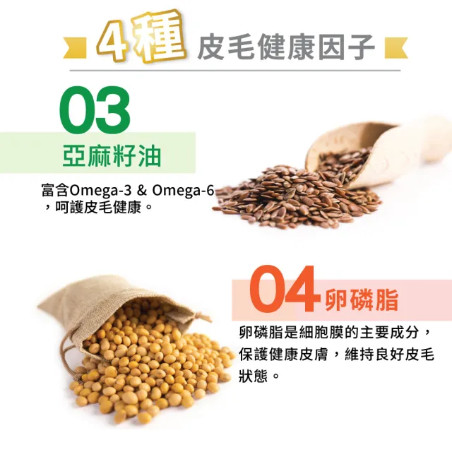 【Balance 博朗氏】美毛魚油-挑嘴貓/幼母貓飼料7kg (貓乾糧/貓乾糧/挑嘴/幼貓飼料/美毛飼料/官方直營)