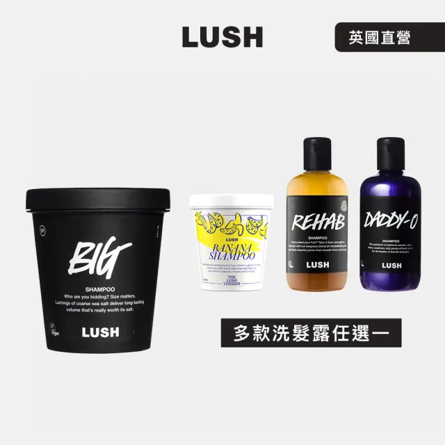 【LUSH 嵐舒】潔淨亮澤洗髮露 250g 多款任選1(Big 豐盈-QWER演唱會香氣/香蕉/Rehab水果特調/Daddy-O 矯色)