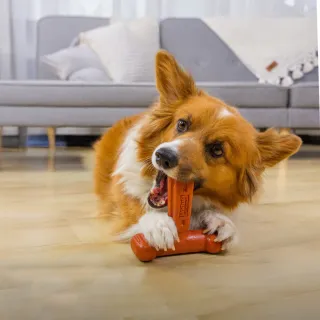 【Petstages】T型BBQ史迪克 寵物玩具 牛肉風味 潔牙 脊狀凹槽方便啃咬 狗玩具