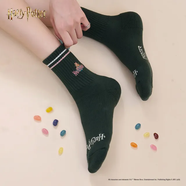 【FOOTER】哈利波特  蜂蜜公爵襪(HP15-深綠)