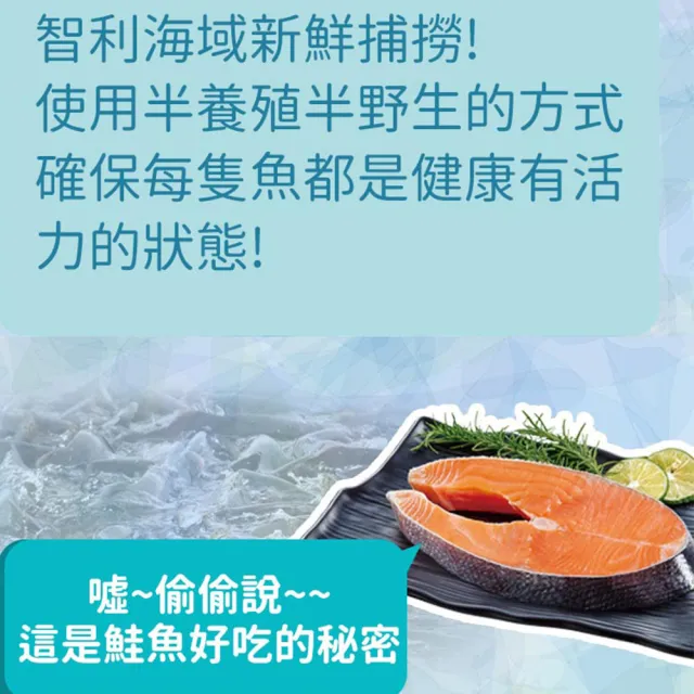 【海鮮主義】智利產去頭整尾鮭魚切片1盒組(3.5kg/盒;15%包冰率;約9-13片/盒)