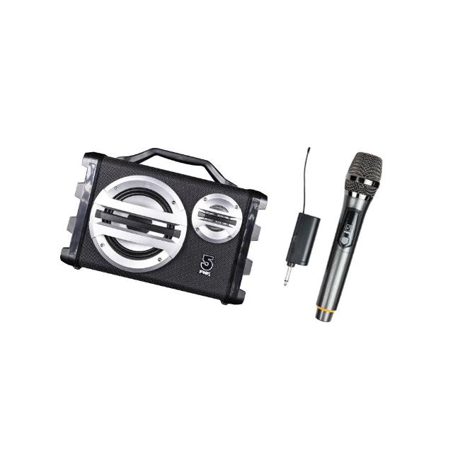 【ifive】手提專業擴音機 if-SK055(20W 無線麥克風 小蜜蜂 擴音器 揚聲器 大聲公 喊話器 木質音箱)