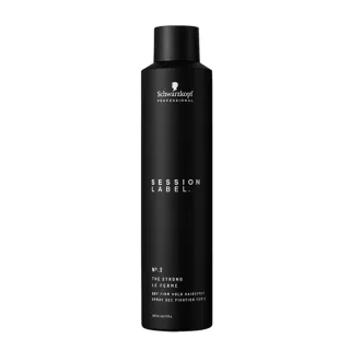 【Schwarzkopf 施華蔻】黑魔髮系列 黑颶風定型噴霧 500ml - 2入組(平輸版)