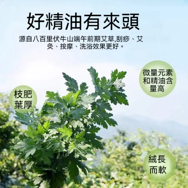 【2026】機能精油推薦｜10款高評價人氣品牌排行榜 | BALIMAN情報局
