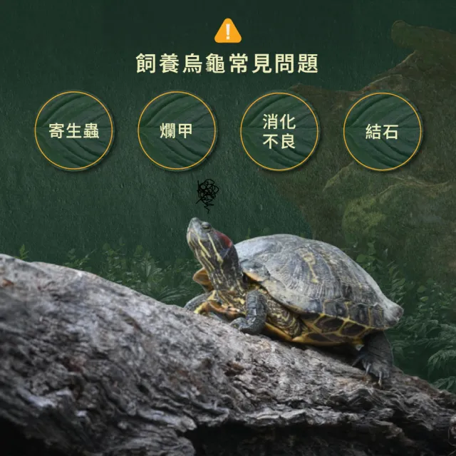【WeWant 威旺】龜類用益生菌+益生元-超能7菌配方30g(烏龜保健/烏龜益生菌/適口性佳)