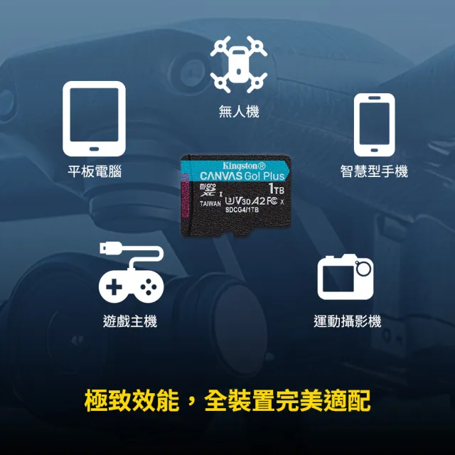 【Kingston 金士頓】Canvas Go!Plus microSD 256GB/200MB/s 記憶卡(SDCG4/256GB)