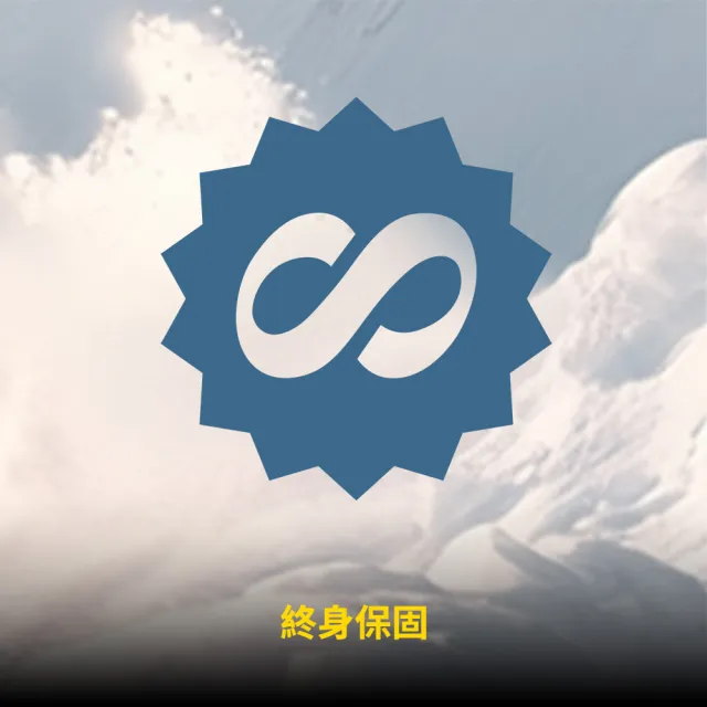 【Kingston 金士頓】Canvas Go!Plus microSD 256GB/200MB/s 記憶卡(SDCG4/256GB)