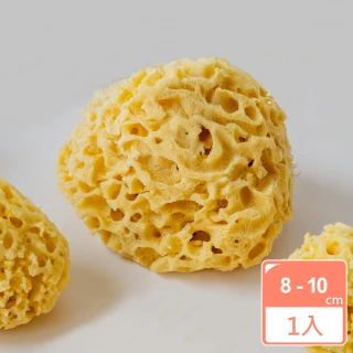 【BIOESTI】希臘地中海天然海綿蜂巢款8-10公分 一盒一入(洗臉/洗澡沐浴用)