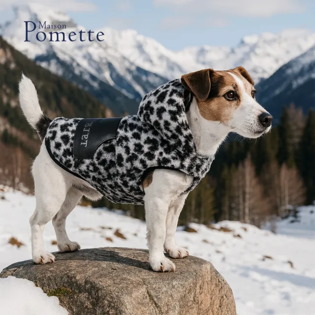 【Maison Pomette】復古豹紋連帽絨衣.黑色 狗狗衣服 S-2XL(瑪頌·波美特)
