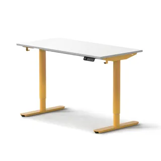 【Tapbi】電動升降桌｜圓管RD系列 120x60cm 高承重雙馬達 直覺操控 安全防壓(書桌/辦公桌/工作桌/電腦桌)