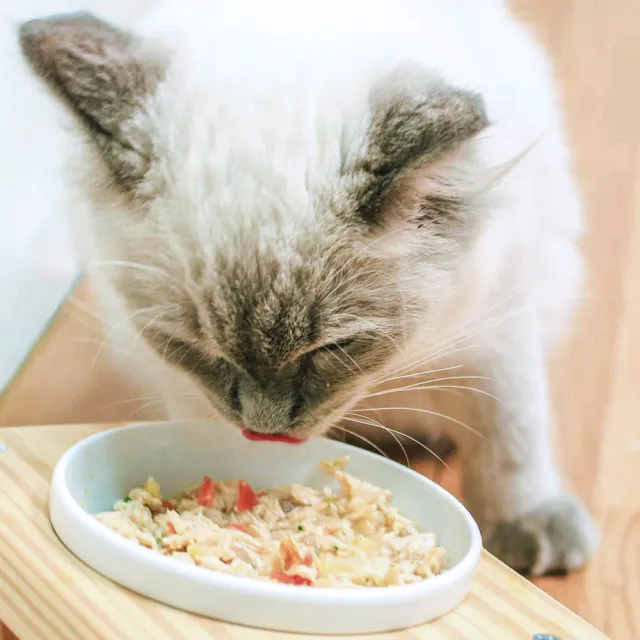 【COCONILLA 口口迷】饕客回購組 營養均衡8口味共24包(寵物鮮食 無穀鮮食)