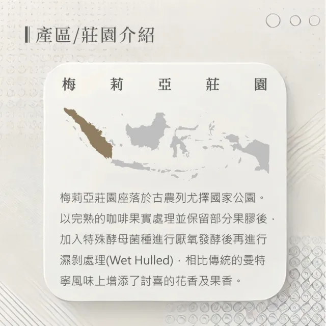 【戀】印尼 亞齊迦佑 梅莉亞莊園 鐵筆卡 G1 TP 厭氧發酵處理 淺焙精品咖啡豆(227g/袋)