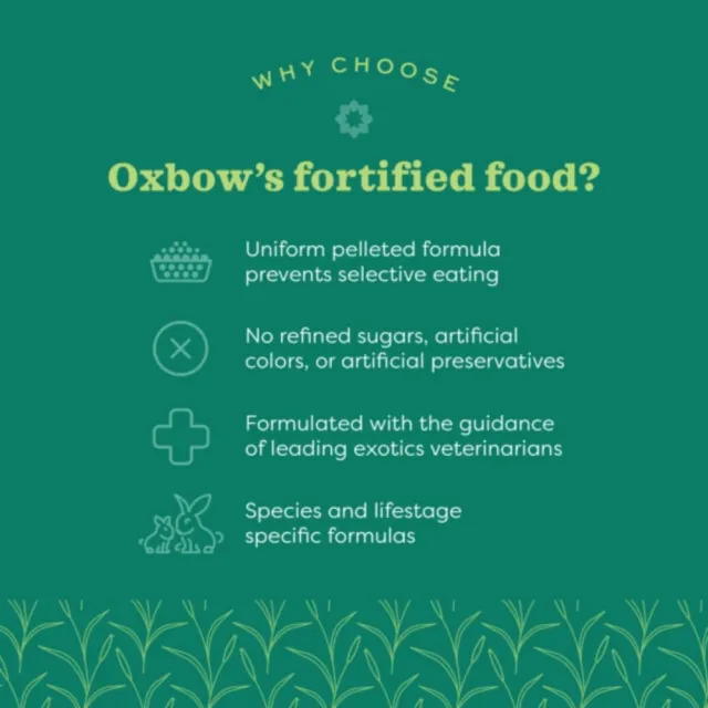 【OXBOW】活力-龍貓配方飼料 3磅/1.36kg(美國OXBOW、龍貓飼料、壓縮糧、龍貓糧)