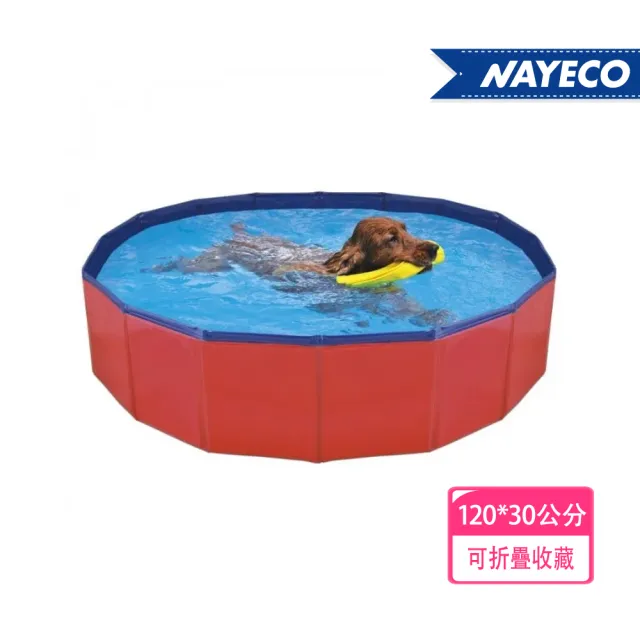 【2026】游泳池推薦｜10款高評價人氣品牌排行榜 | 好吃美食的八里人