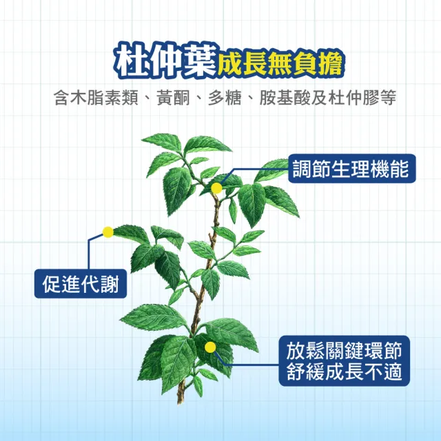 【順天本草】長大人成長膠囊正宗版 男方60顆/盒X6(黃金成長期、成長關鍵、順天堂集團、調整體質、成長補養)