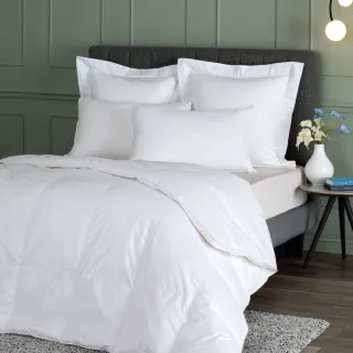 【WEDGWOOD】90%波蘭白鵝絨 抗菌羽絨舒眠被 冬被(加大 240x210cm)