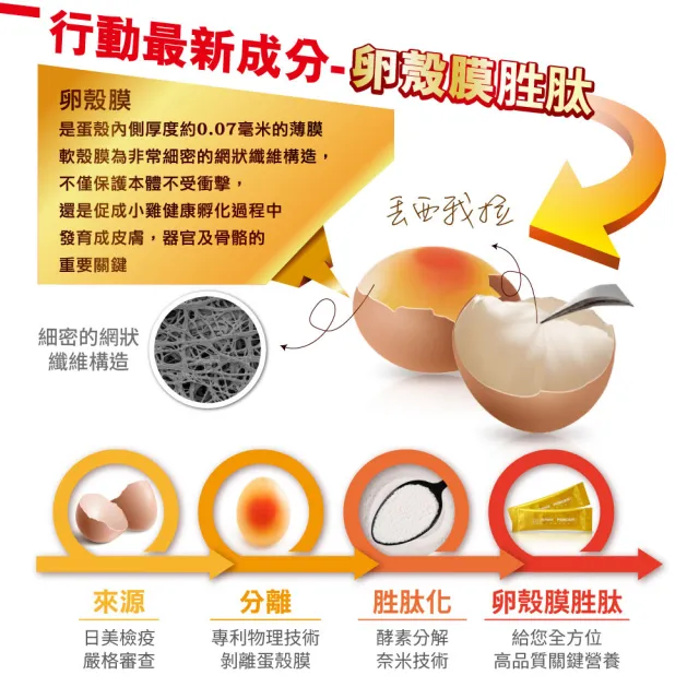 【KENICHI 健一】顧關鍵 日本原裝非變性二型膠原蛋白+卵殼膜胜肽+維生素D3_PRO強化版x1盒(銀髮/行動保健)