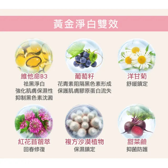 【VG 薇姬娜】淨白美姬私密潔淨露 50 ml(效期 2026/10/30)