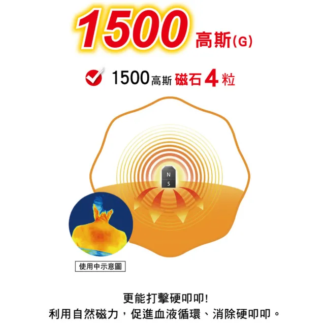 【易利氣】磁力項圈 EX(黑)