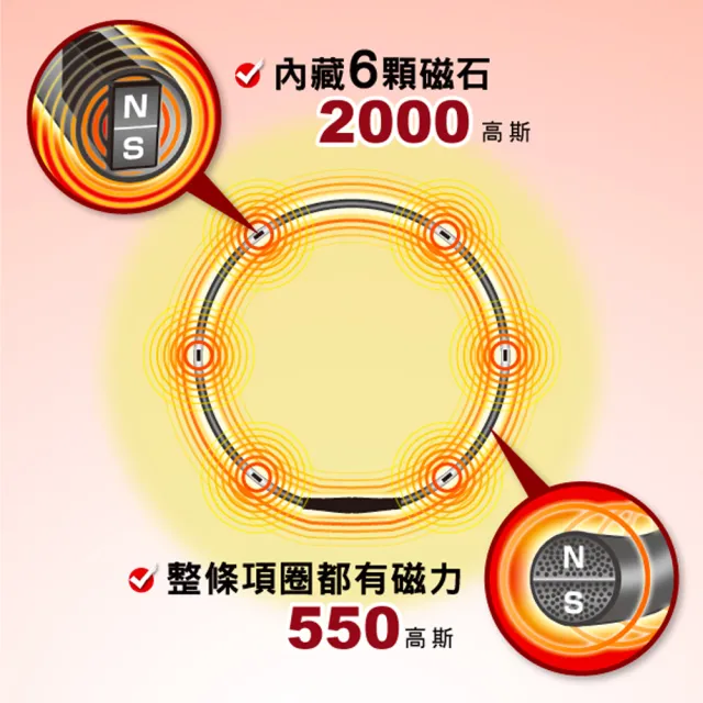 【易利氣】磁力項圈 MAX(黑)