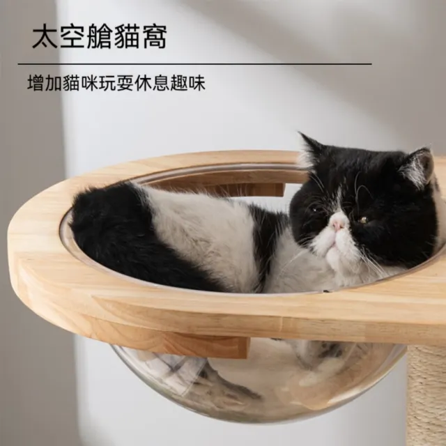 【艾嘉圖】貓爬架 貓窩一體 耐抓耐用穩固貓抓板 多貓可用 貓咪玩具 貓樹架子(大型貓爬架59*39*175)
