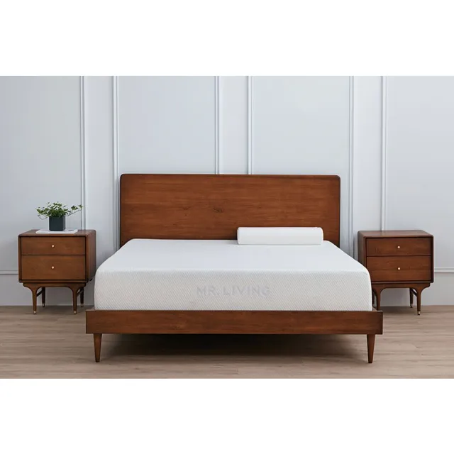 【MR. LIVING 居家先生】買一送一 天絲防蟎減壓高低枕 枕頭 高側11／低側9cm(兩種高度/正/側/趴睡皆宜)