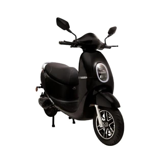 【ZAU】ES-1000 普通輕型電動機車