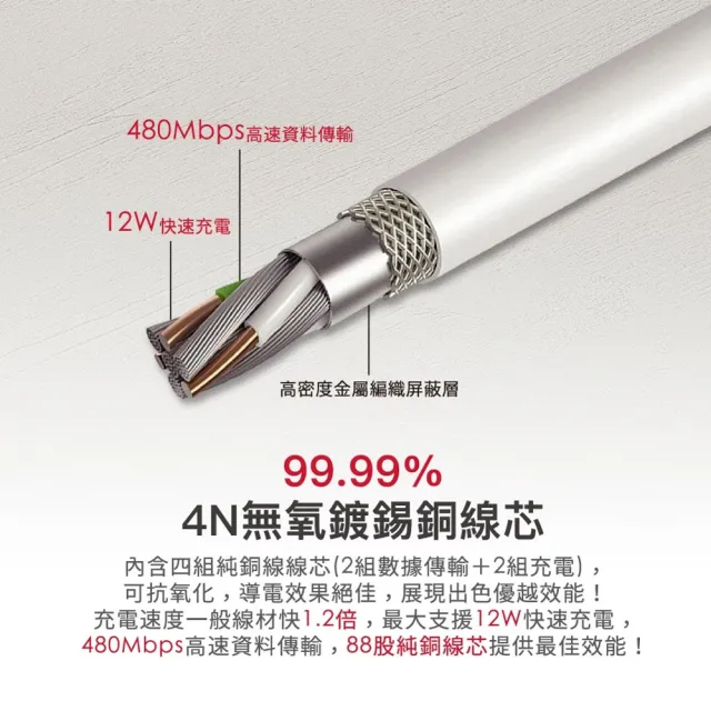 【Gigastone 立達國際】Apple MFi 認證Lightning 1M傳輸充電線 C102(支援iPhone 14/13/12/11/XR/iPad充電)
