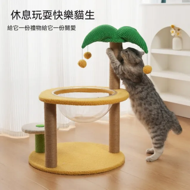 【艾嘉圖】大號貓爬架 小型不佔地貓架子 貓窩貓樹一體 貓抓柱 幼貓咪玩具用品(矮椰樹爬架44*44*70)