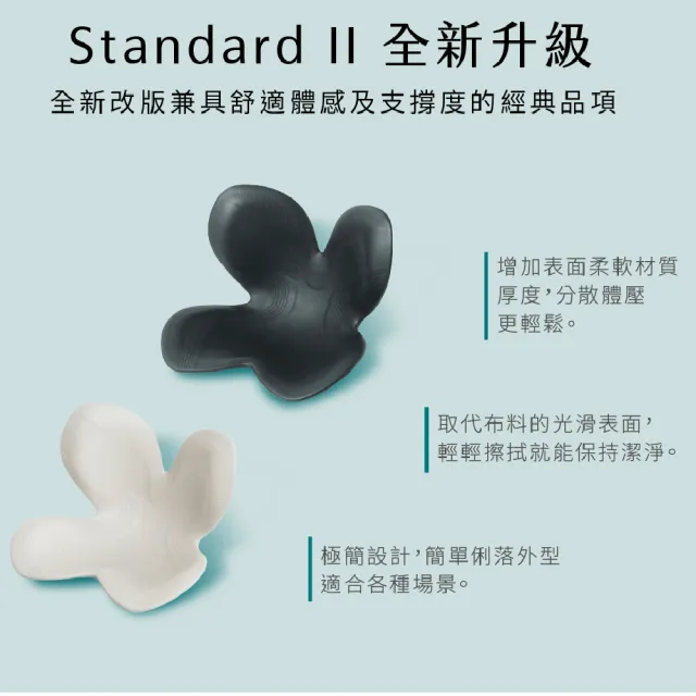 【Style】Standard 健康護脊椅墊 輕便款 兩入組 顏色任選(護脊坐墊/美姿調整椅)