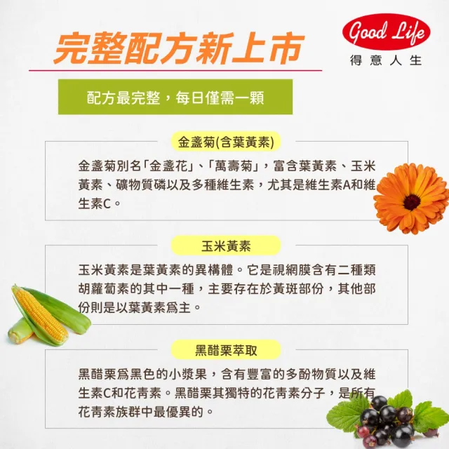 【得意人生】30mg高單位Lutein黑醋栗葉黃素 1入組(共60粒 沈永慶藥師推薦 葉黃素 花青素 維他命C)