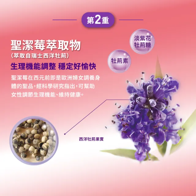 【娘家官方直營】蔓越莓聖潔莓益生菌2盒組(30包/盒)