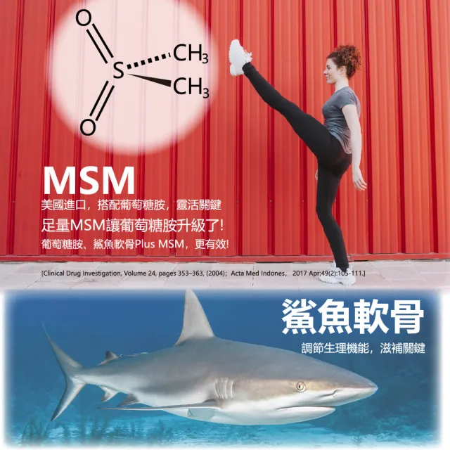 【SENTOSA 三多】保固力Plus錠80錠x3入組(葡萄糖胺、MSM、軟骨素)