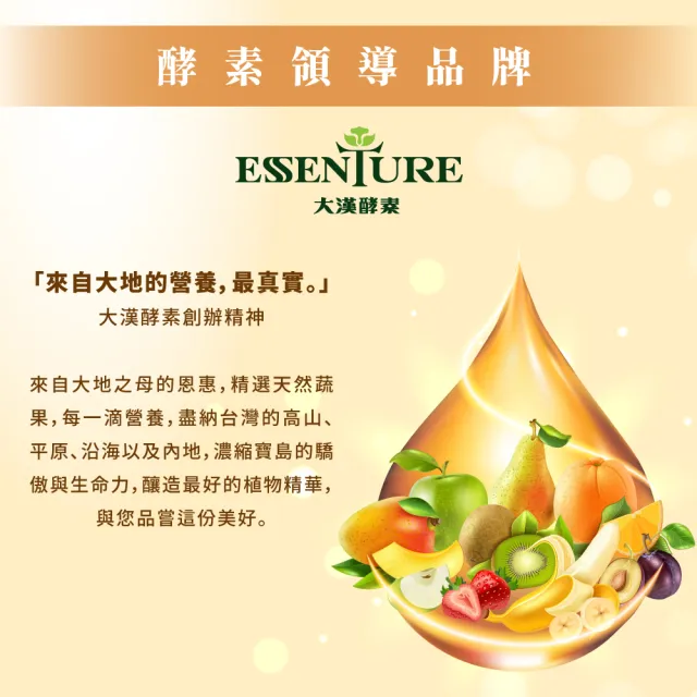 【ESSENTURE 大漢酵素】有機燉木耳/黑木耳醱酵飲350mlx2箱(共48入  黑木耳 素食 木耳露 養生 原廠出貨)