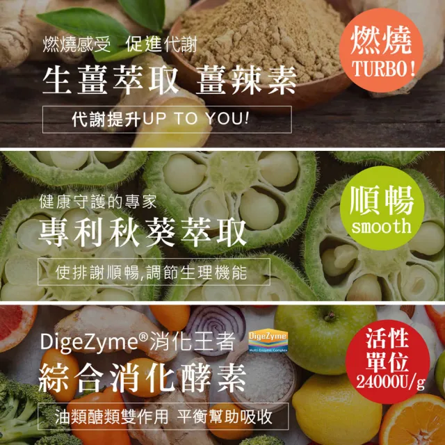 【DV 麗彤生醫】雙樂纖特濃升級x10盒共300粒(保健禮盒/蔡允潔-順暢+代謝+燃燒/酵素/綠茶素/薑)