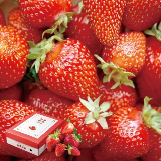 【鮮果爺爺】苗栗壢西坪2號帝王紅草莓1斤禮盒x1盒(產銷履歷驗證)