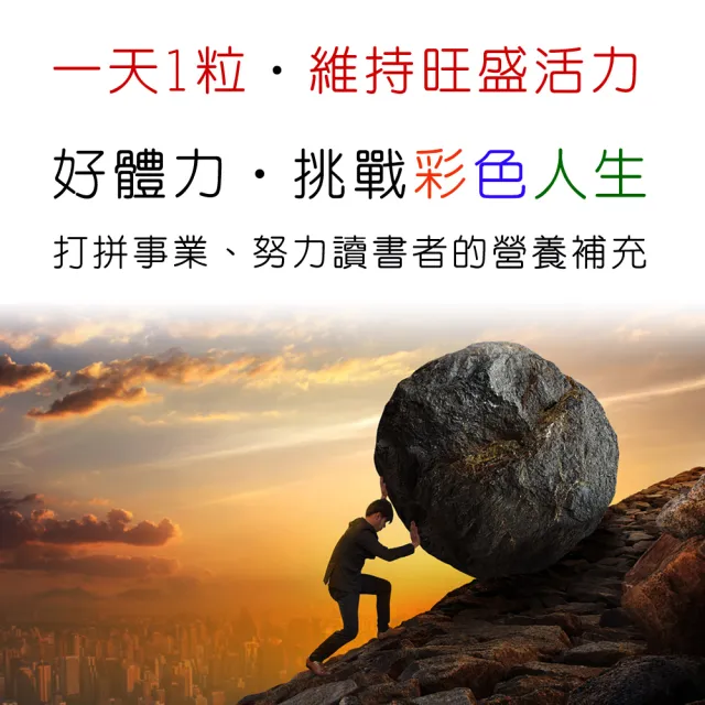 【IVITAL 艾維特】德國肝精+B群+法國朝鮮薊膠囊60粒4瓶組(買3送1 共240粒)